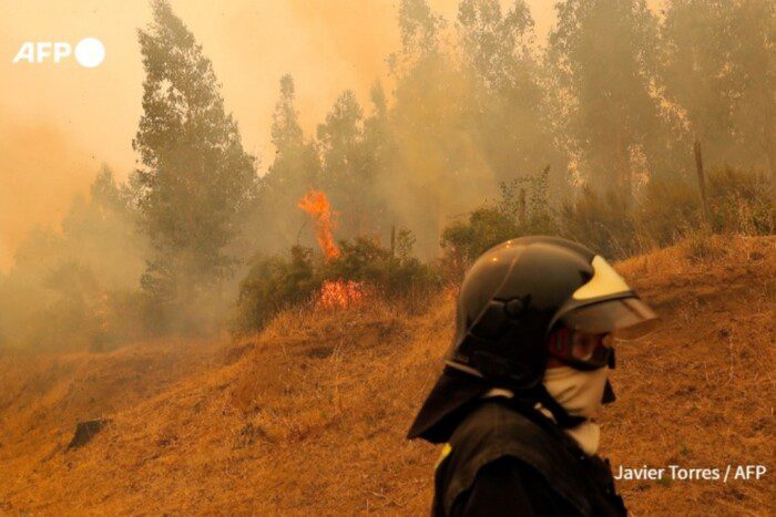 Le Chili est en feu : les incendies de forêt ont coûté la vie à des dizaines de personnes (photo)